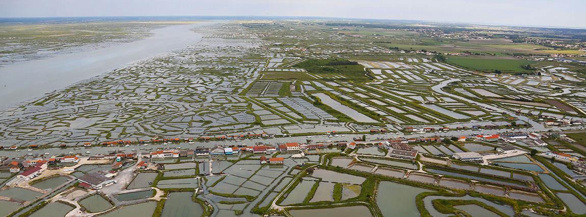 Vue aérienne de la Seudre, juin 2013 © Franck Prével